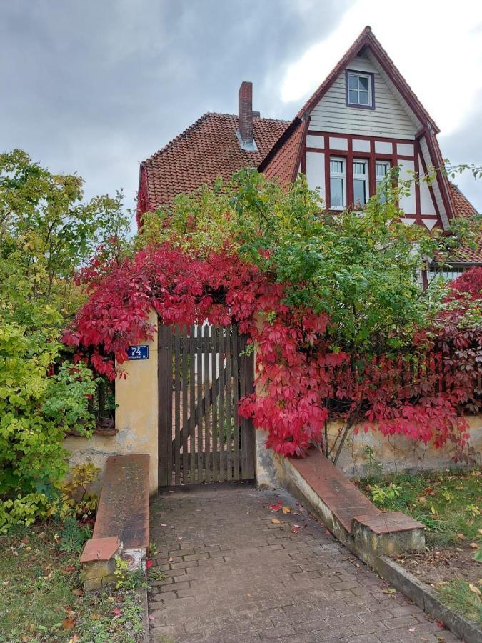 Stilvolles Ferienhaus Artdeco Wernigerode Exteriör bild