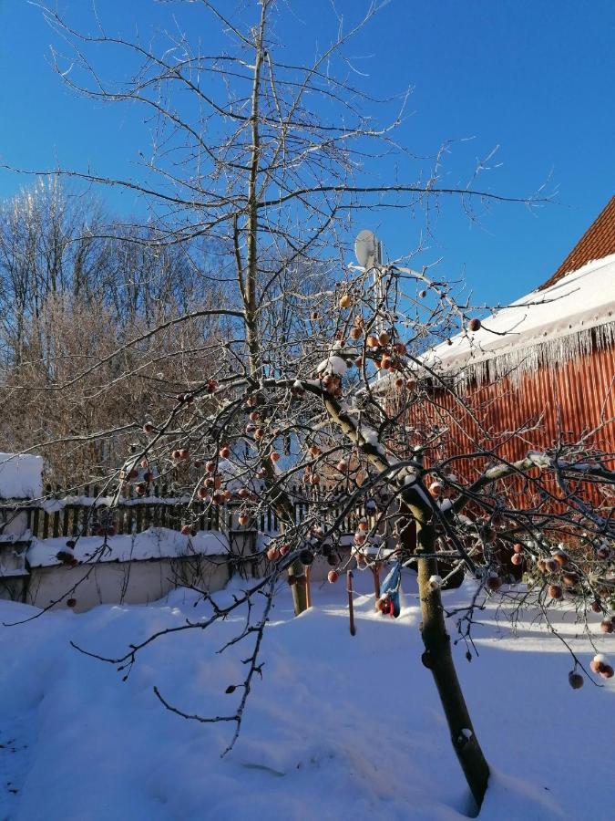 Stilvolles Ferienhaus Artdeco Wernigerode Exteriör bild
